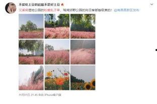 青草网红福利在线