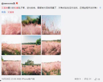 青草网红福利在线